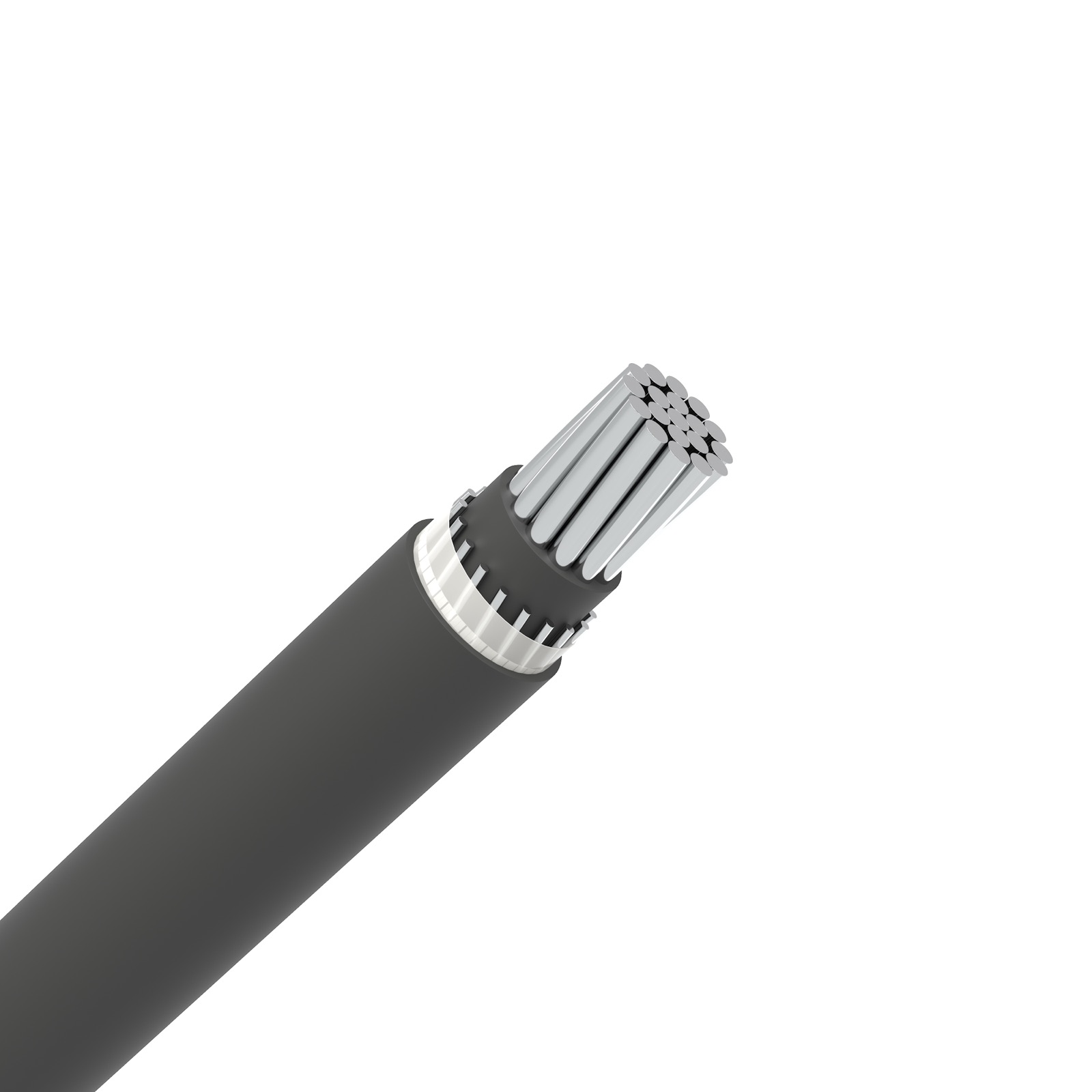 concentric-cable-lv-astm-b800_副本